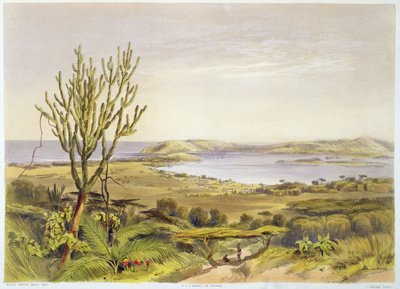 Durban, Port Natal, plate 28 from 
